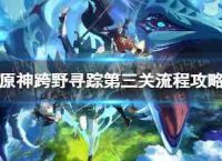 最初的神差别野生如何追求三级野生追求第三传递过程策略