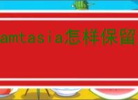 Camtasia怎样保留清晰对话