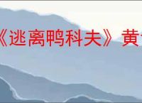《逃离鸭科夫》黄色集装箱点位