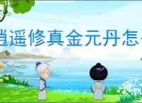 逍遥修真金元丹怎么购买