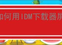 如何用IDM下载器屏蔽对话框