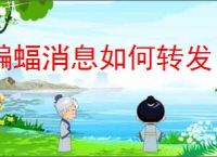 蝙蝠消息如何转发