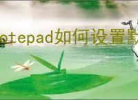 Notepad如何设置默认语言