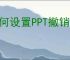 如何设置PPT撤销次数