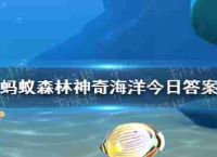 蚂蚁森林魔法海洋豹海豹主要是5月19日,吃什么