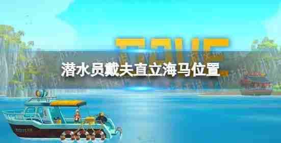 潜水员戴夫竖立海马吗?竖立位置海马