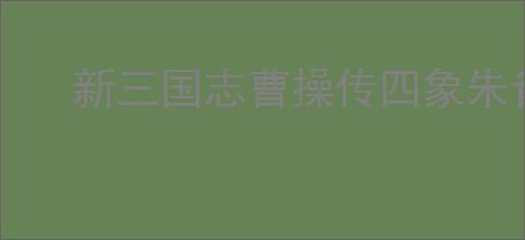 新三国志曹操传四象朱雀第五关怎么过,新三国志曹操传四象朱雀第五关阵容