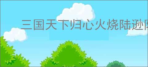 三国天下归心火烧陆逊队怎么玩,三国天下归心火烧陆逊队搭配推荐