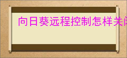 向日葵远程控制怎样关闭主机上线提醒