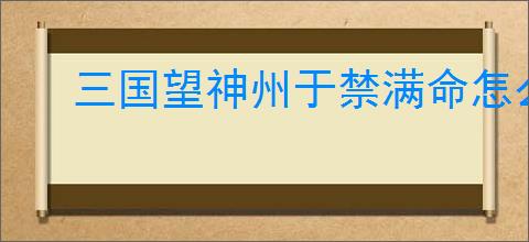 三国望神州于禁满命怎么样,三国望神州满命于禁强度介绍