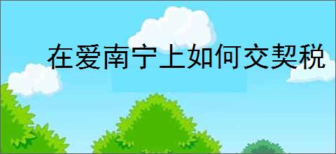 在爱南宁上如何交契税