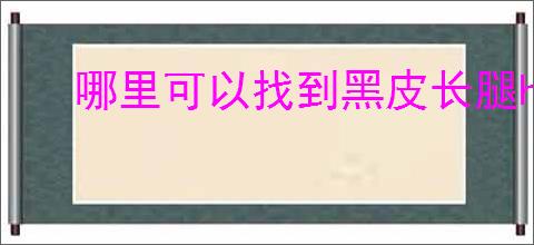 哪里可以找到黑皮长腿helloketty